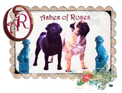 Ashes Of  Roses